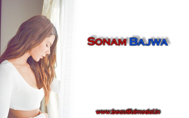Sonam Bajwa Measurements Height Weight Bra