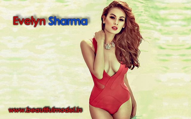 Evelyn Sharma Measurements Height Weight Bra